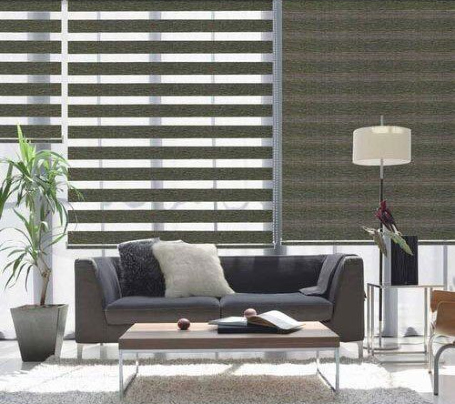 THE MAGIC LIGHTS / ZEBRA BLINDS