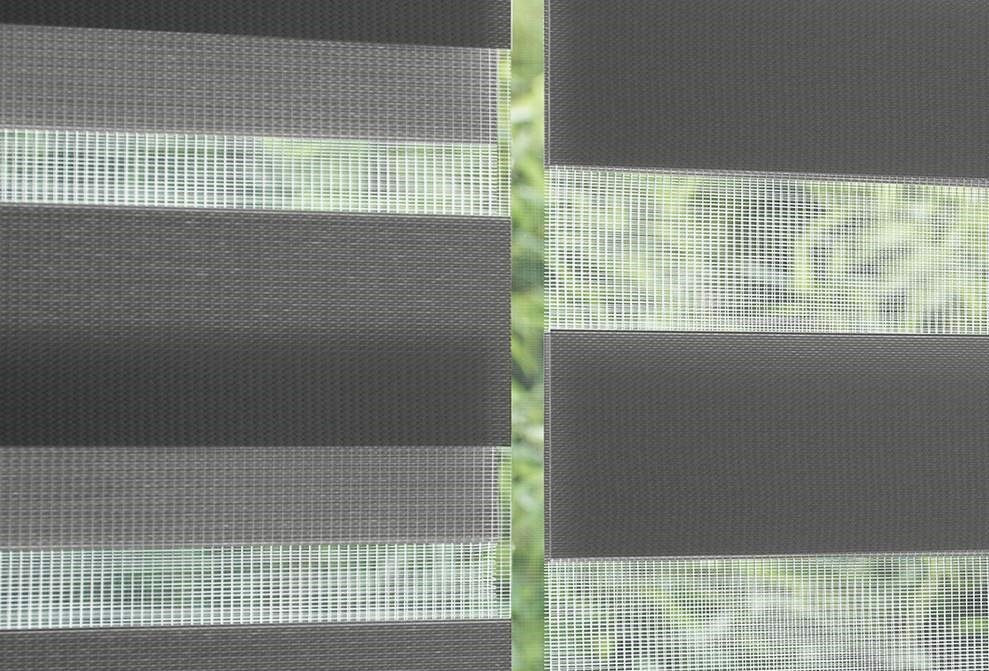 THE MAGIC LIGHTS / ZEBRA BLINDS