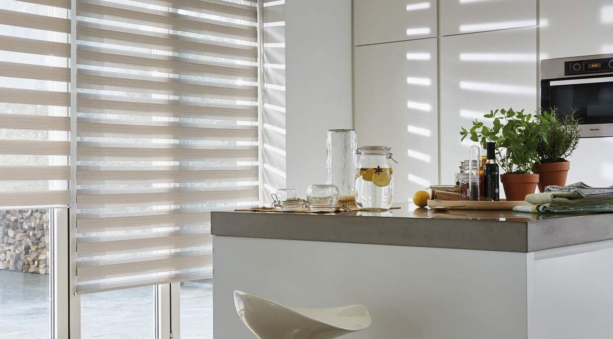 THE MAGIC LIGHTS / ZEBRA BLINDS